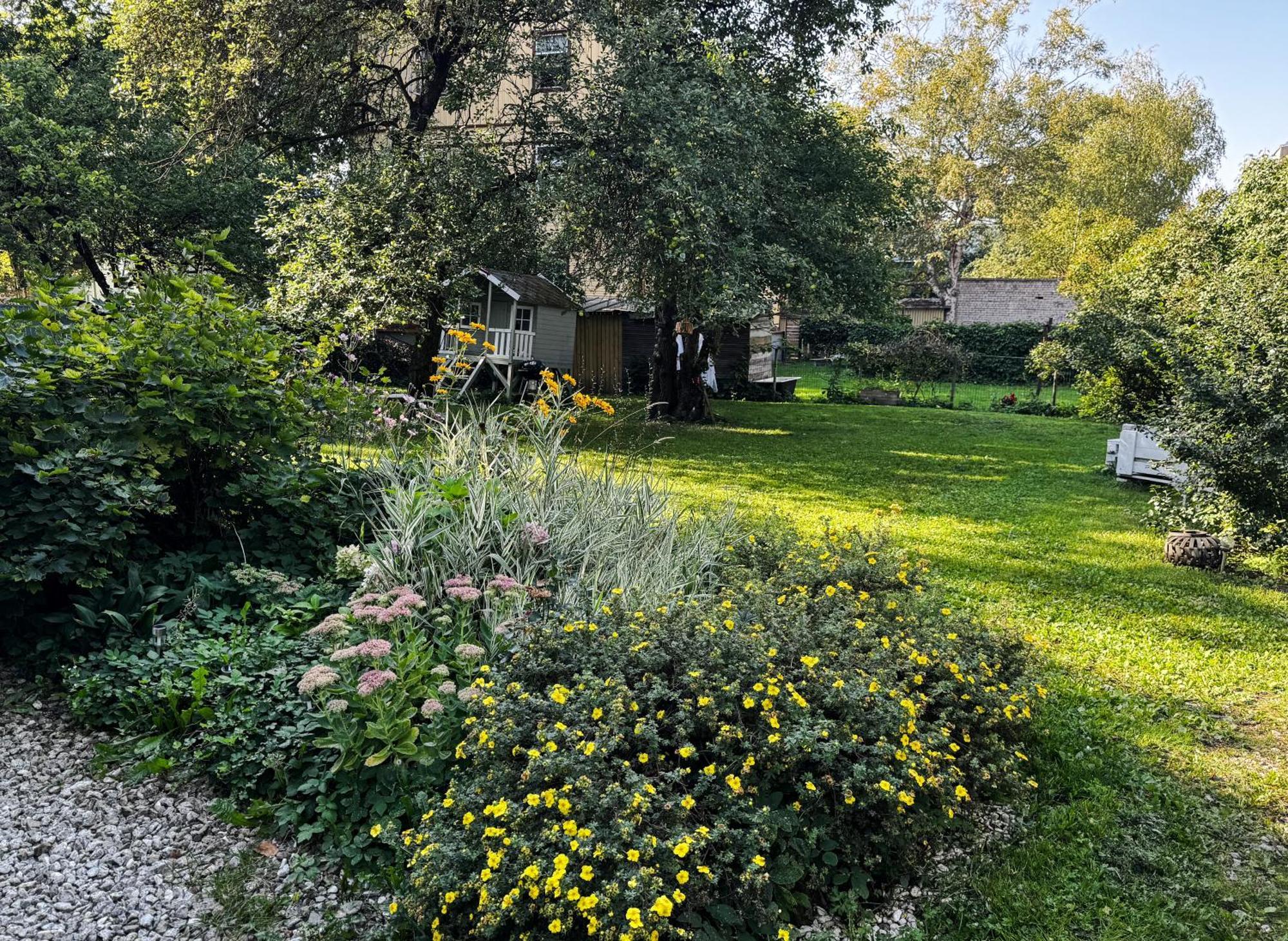 Dzīvoklis Cozy In